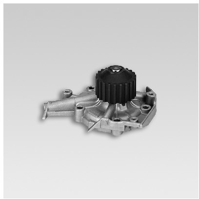 HEPU Pompa wodna P799