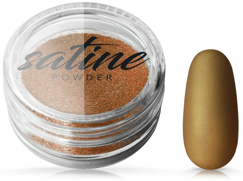 SILCARE Satine Powder Bronze 0,5g Efekt Satynowy 9039-uniw