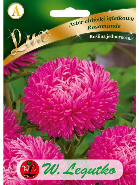 Legutko Aster chiński igiełkowy ROSAMUNDE