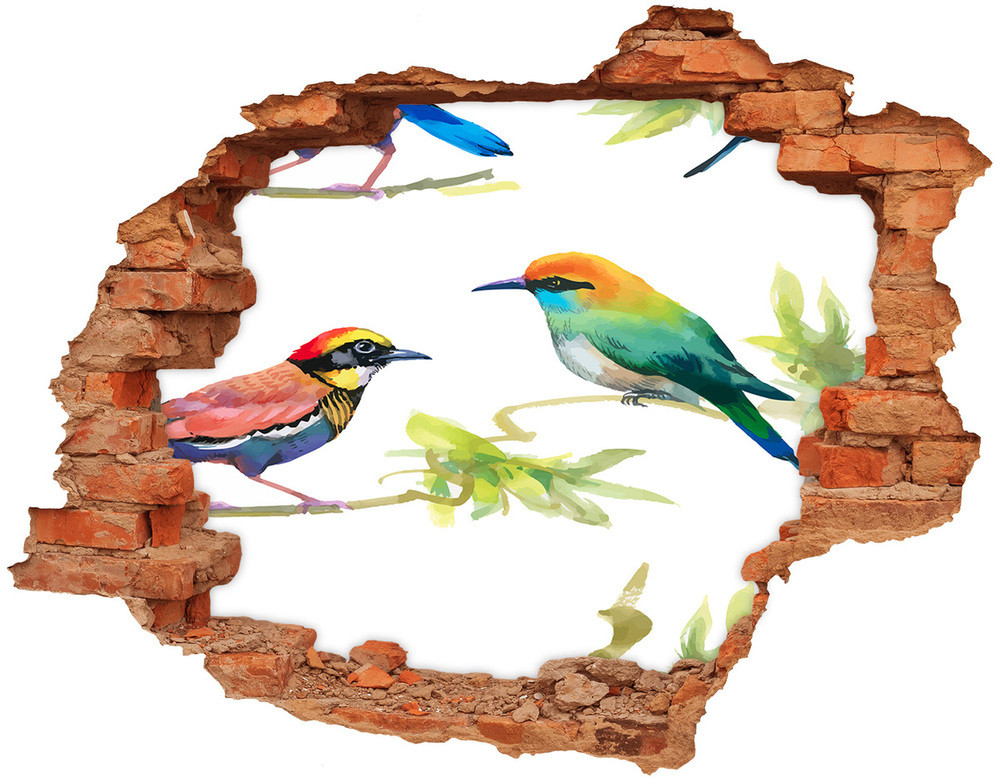 Wallmuralia.pl Dziura 3d fototapeta na ścianę Egzotyczne ptaki