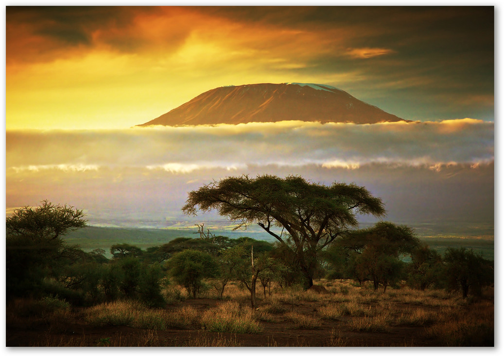 Foto obraz akryl Kilimandżaro Kenia