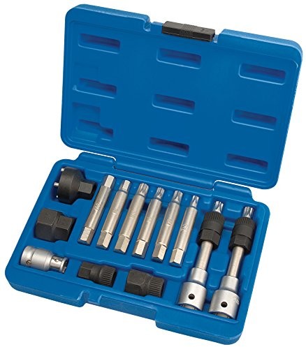 Draper Expert 31913 kołowrotek z wolnym biegiem koło pasowe Tool Kit, zestaw 13 31913