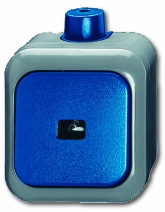 Busch-Jaeger 2621 WDI wipptaster 2621 WDI