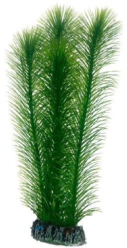 Hobby mayaca, 25 cm