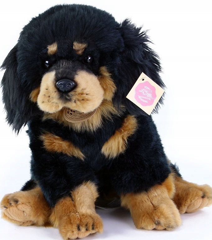 Maskotka Pies Mastif Tybetański Molos Mastiff