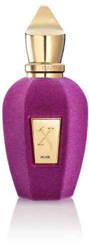 Xerjoff V Muse 100ml edp 91202-uniw