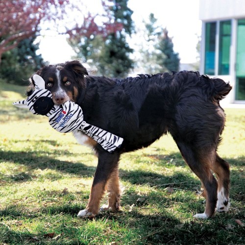 Kong Wubba No Stuff Zebra L