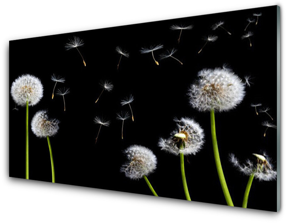 Tulup.pl Panel Kuchenny Mniszek Lekarski 100x50cm