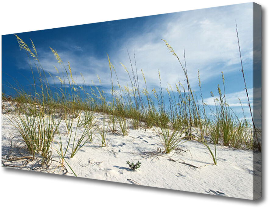 PL Tulup Obraz na Płótnie Plaża Krajobraz 100x50cm