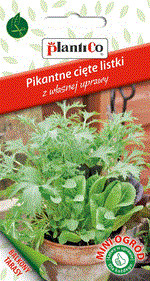 Plantico Pikantne listki mieszanka - Mini Ogród 100515