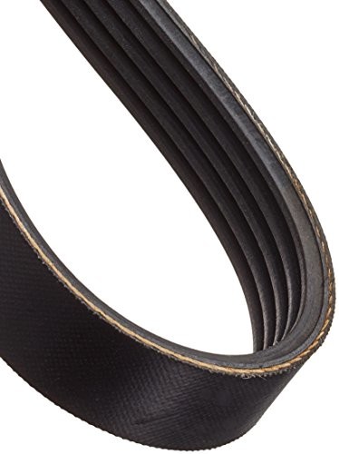 Japko japko 5pk0825 pas zębaty 5PK0825