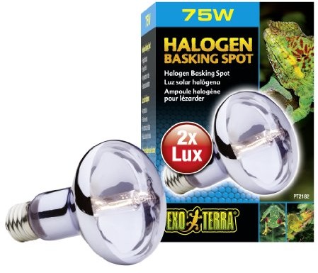 Exo Terra Halogen Basking Spot - szerokie spektrum światła dziennego, 75 W PT2182