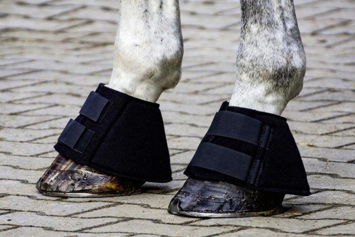 Busse Kaloszki nieprzekręcające się SPORT PRO - 607379