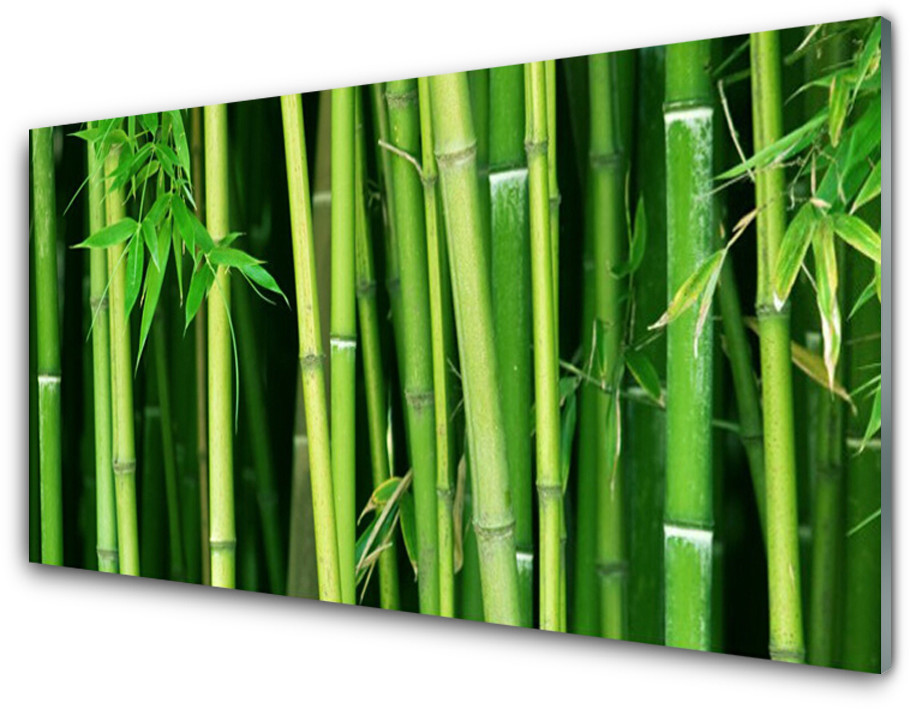 Tulup.pl Panel Szklany Las Bambusowy Bambus Natura 100x50cm