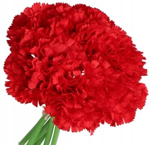 Goździk Bukiet Goździków Sztuczne Kwiaty 24CM 6GAŁ