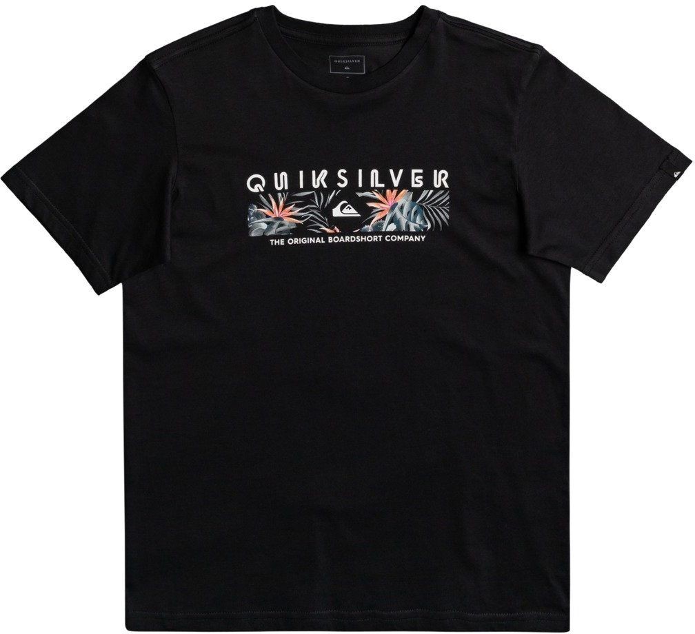 Quiksilver t-shirt YOUTH DISTANT SHORES TEE Black KVJ0