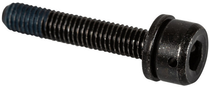Shimano Śruba adaptera hamulca tarczowego do ram Flat-Mount 20mm 2020 Akcesoria do hamulców tarczowych Y-81743200