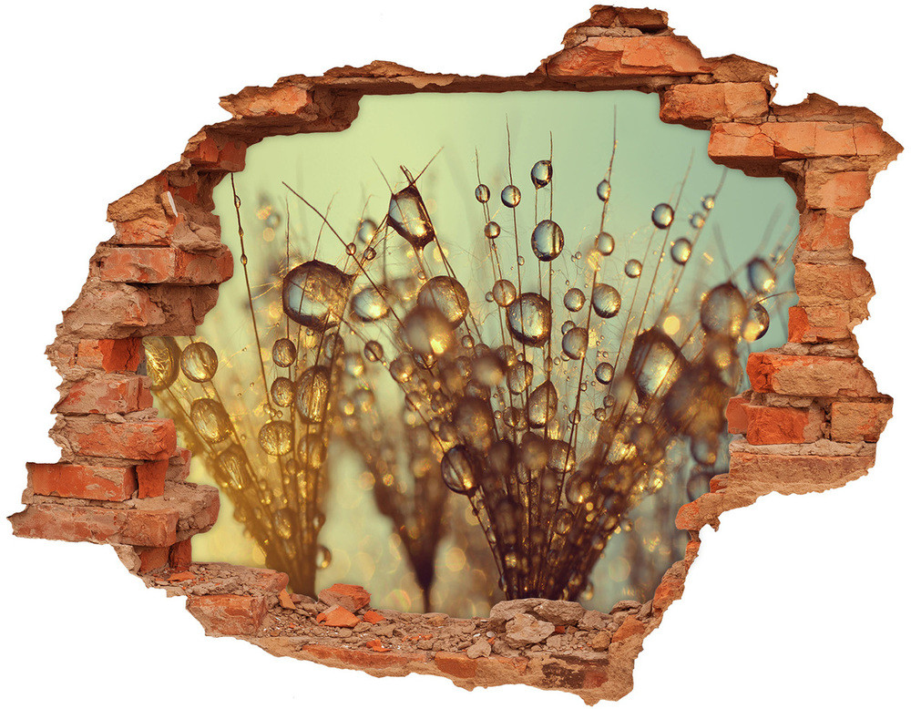 Wallmuralia.pl Samoprzylepna dziura na ścianę Ornamenty
