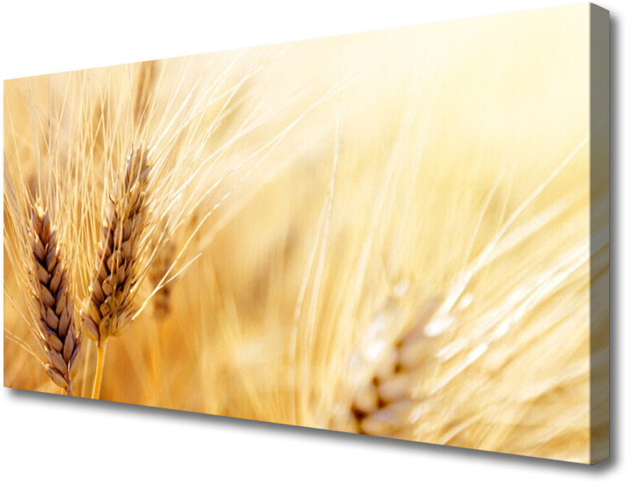 PL Tulup Obraz Canvas Pszenica Roślina Natura 120x60cm