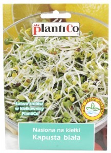PlantiCo Nasiona na kiełki KAPUSTA BIAŁA 10g Nas000317
