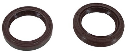 CORTECO Zestaw uszczelniacza wargowego, silnik 289050