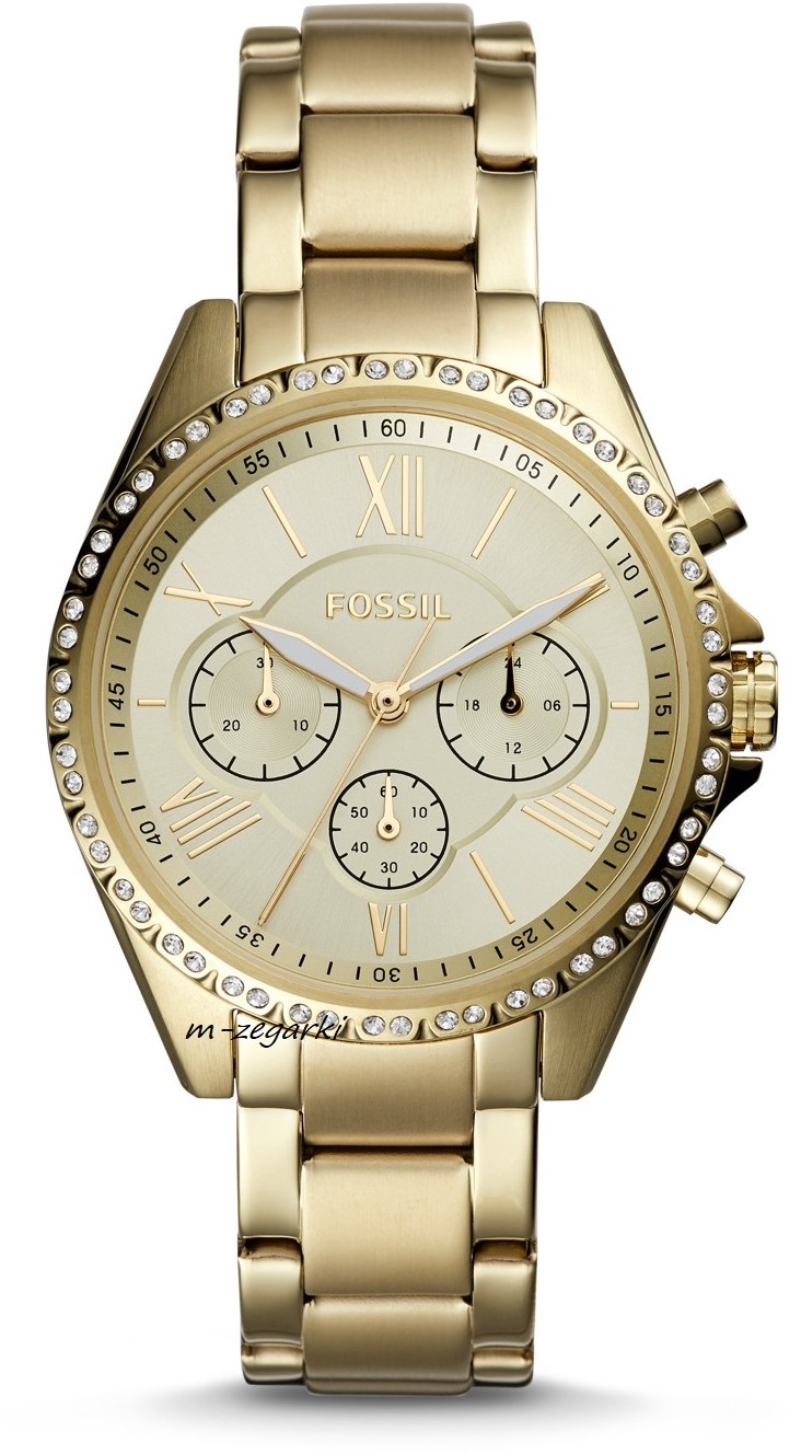 Fossil BQ3378 /