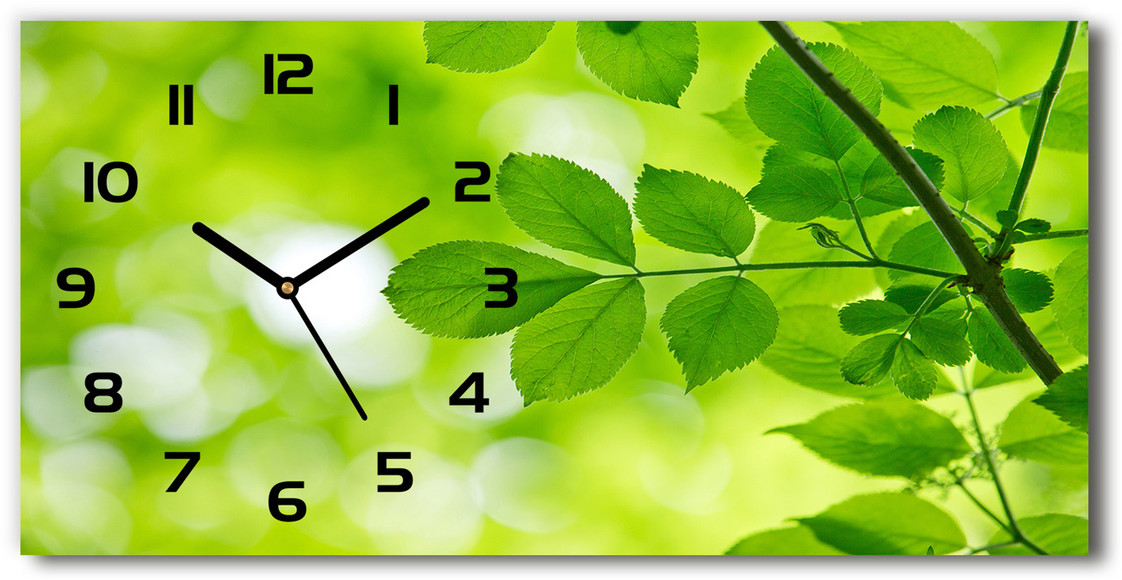 Zegar ścienny szklany cichy Zielone liście