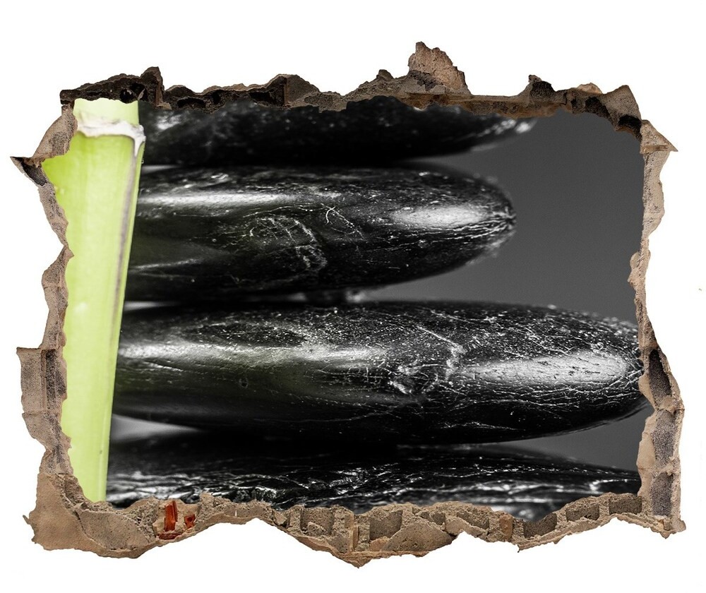 Wallmuralia.pl Samoprzylepna dziura naklejka beton Bambus