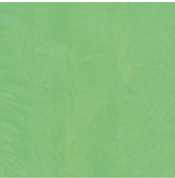 Markizeta Prześcieradło frotte z gumką (kolor pistacjowy) PRZESC/FRG/002/140200/1