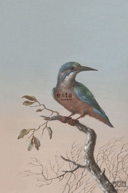 Esta Home Fototapeta na flizelinie ptak na gałęzi 158888_opcje