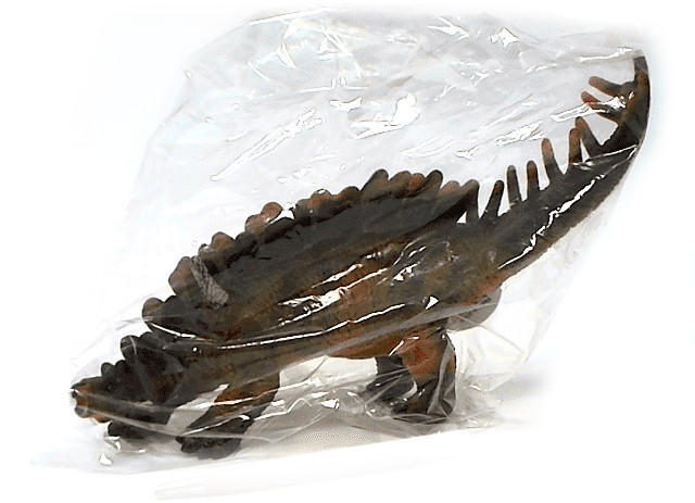 M&Z Dinozaur miękki z dźwiękiem