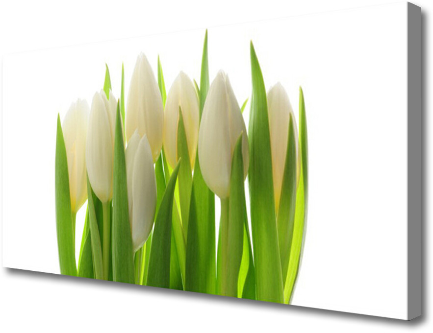 PL Tulup Obraz na Płótnie Tulipany Roślina Natura 140x70cm