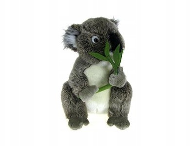 Zoo: maskotka pluszowa Miś Koala 32cm - 85201