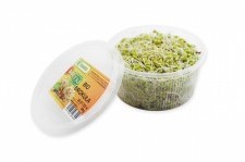 ŚWIEŻE KIEŁKI BROKUŁA ŚWIEŻE BIO (około 50 g)