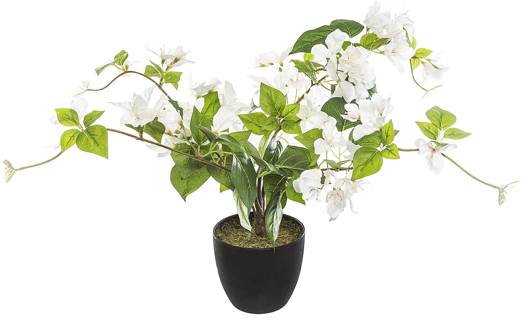 Atmosphera Sztuczna roślina w donicy BUGENWILLIA 76 cm białe kwiaty 168612