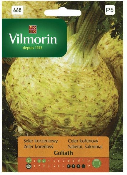 Vilmorin Nasiona seler korzeniowy Goliath