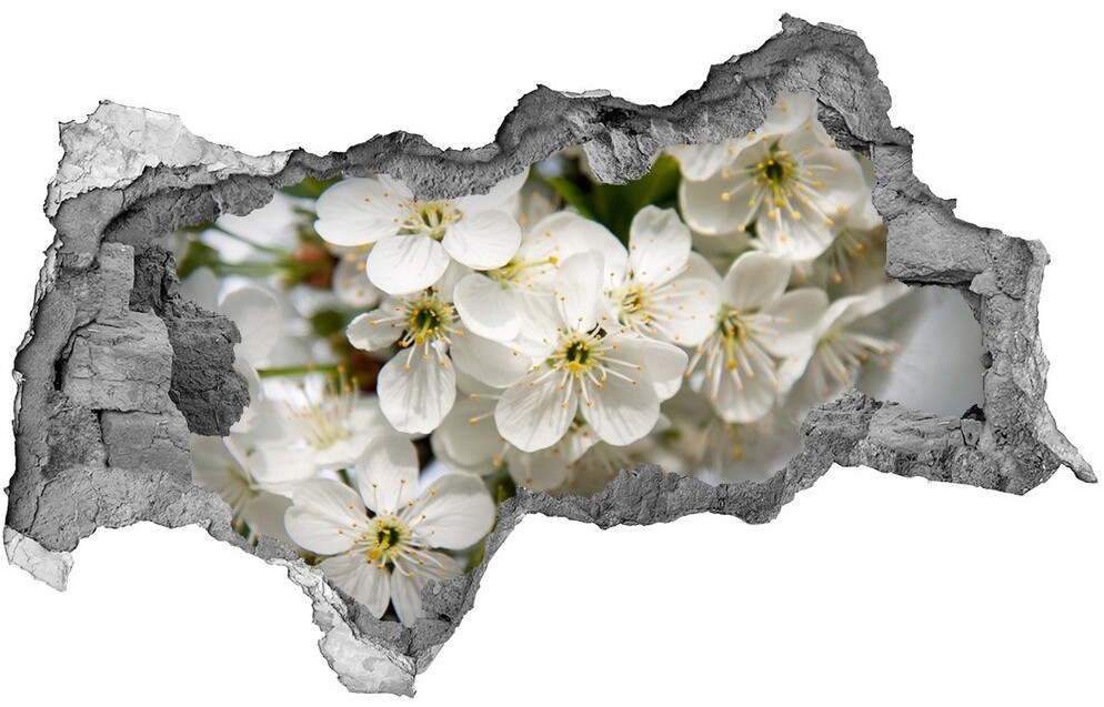 Wallmuralia.pl Samoprzylepna dziura naklejka Kwiaty wiśni