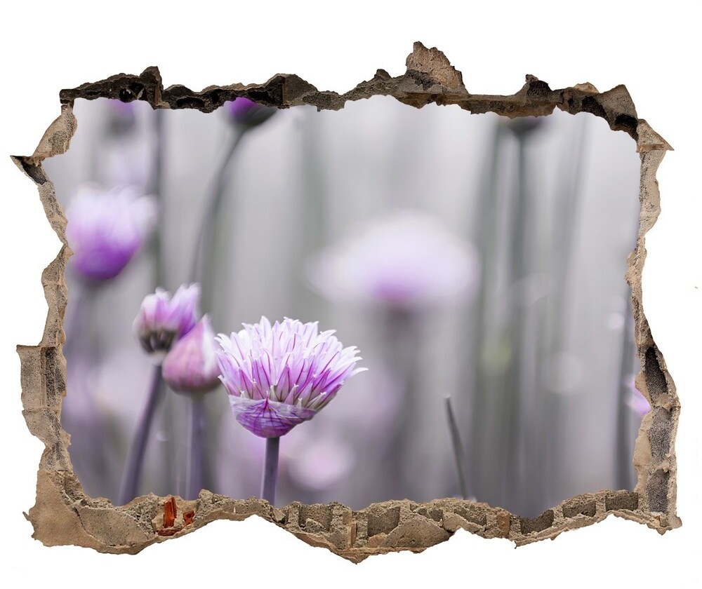 Wallmuralia.pl Samoprzylepna dziura naklejka Kwiaty szczypiorku