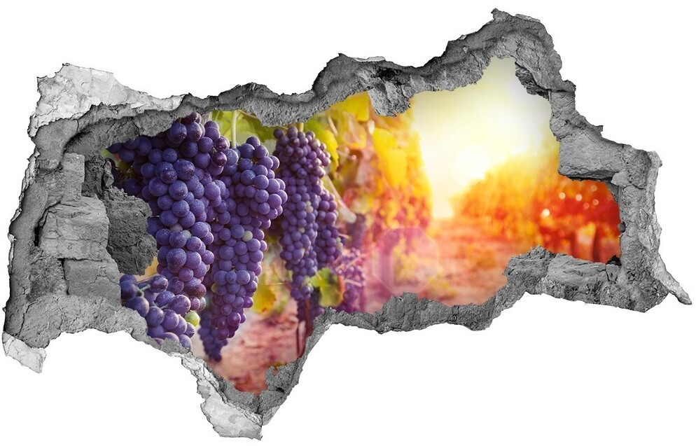 Wallmuralia.pl Samoprzylepna naklejka beton Winorośle