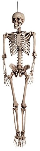 Boland boland 74515  szkielet, ok. 160 cm