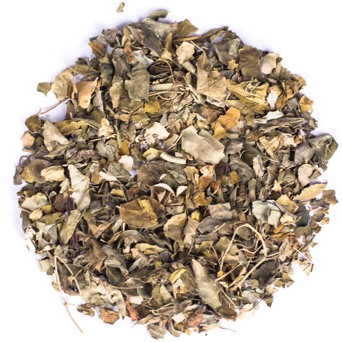 Planteon Moringa oleifera liść 5kg 2-0090-01-6