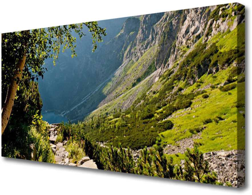 PL Tulup Obraz Canvas Góra Las Przyroda 100x50cm