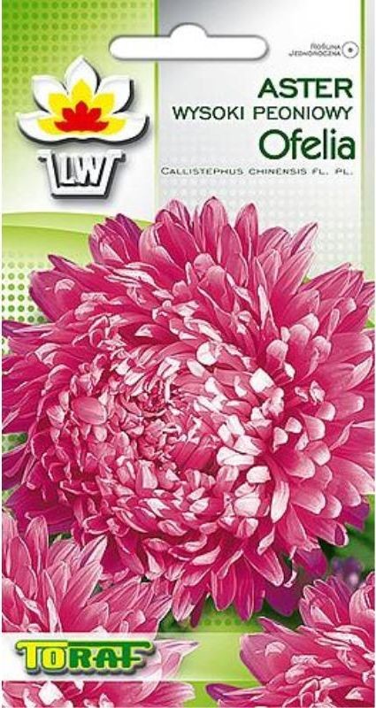 Toraf KWIATY Aster peoniowy Ofelia nasiona 1g 00336