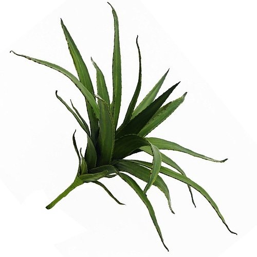 Europalms Euro Palms 82530570 Aloe, EVA, 50 cm, zielony 82530570