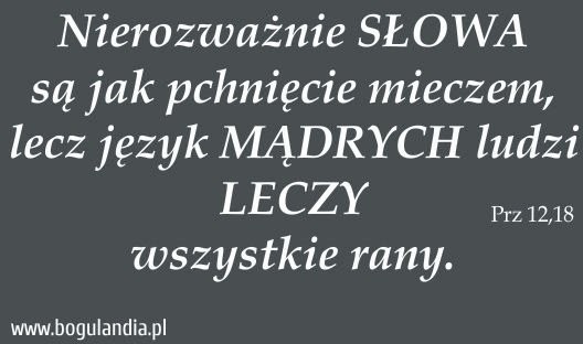 Bogulandia Magnes 62 na lodówkę Nierozważnie SŁOWA są jak 5903268380516
