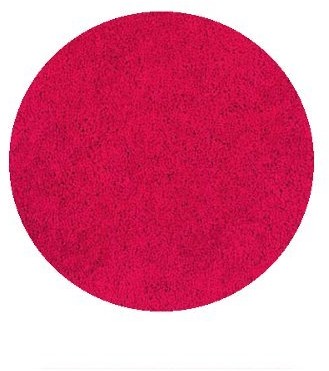 Spirella spirella Highland 10.14372 1014372