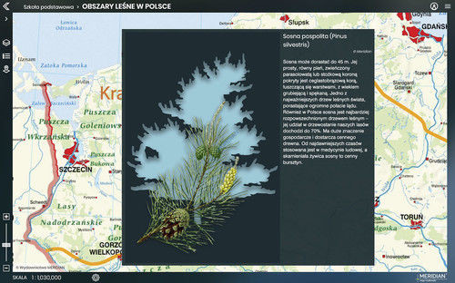 Meridian Platforma Atlas on-line Meridian Prime / licencja dla nauczyciela - 1 rok 5003