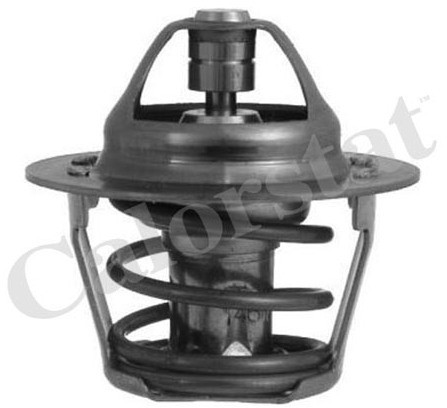 CALORSTAT Termostat, środek chłodzący CALORSTAT TH1248.80J