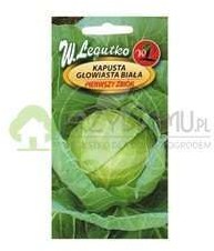 Legutko Kapusta biała Pierwszy Zbiór 2g wczesna