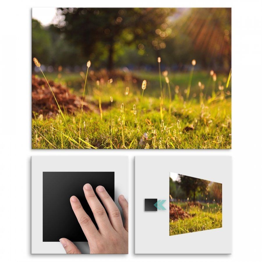 Pix4home Plakat metalowy leśne kwiaty M POS-M-01987